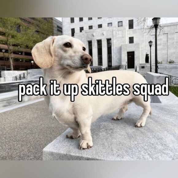 Talbots Soft Aqua Pullover - Picture 6 of 6